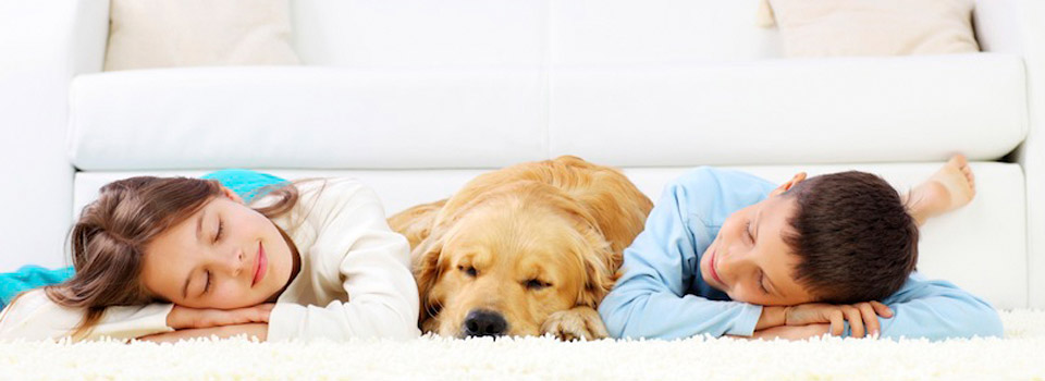 nasimmotadel/تهویه مطبوع نسیم معندل